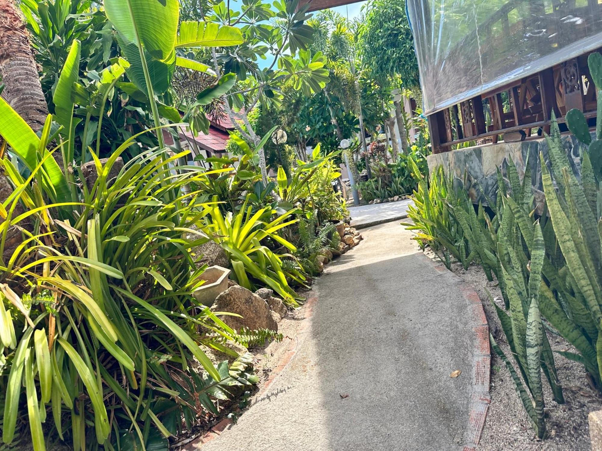 Phangan Lodge Baan Tai Buitenkant foto